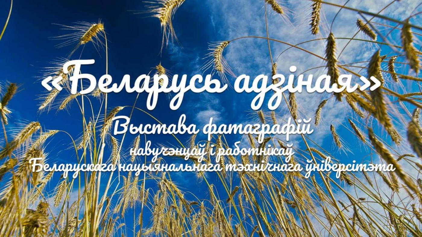 Красота и разнообразие: в БНТУ организована выставка фотографий обучающихся и работников «Беларусь адзіная»